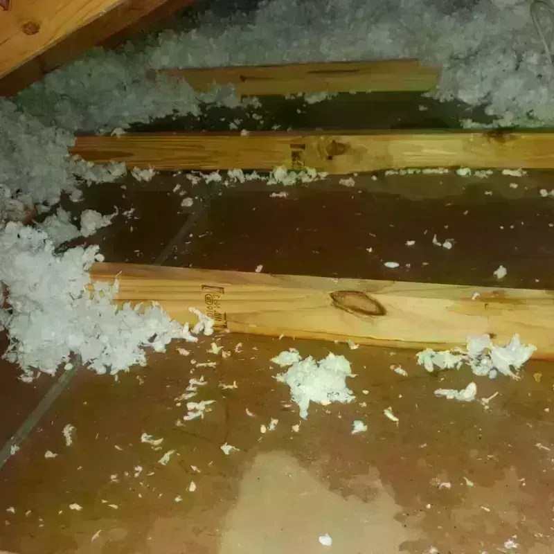 Attic Water Damage in Honaker, VA